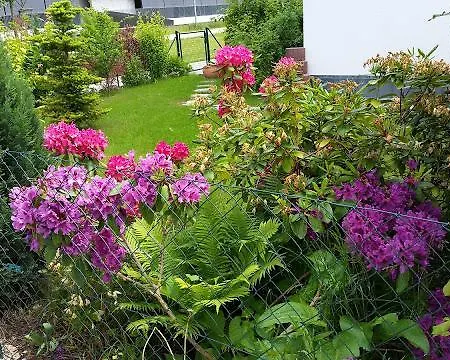 펜션 Ferienhaus Nahe Therme 에르딩